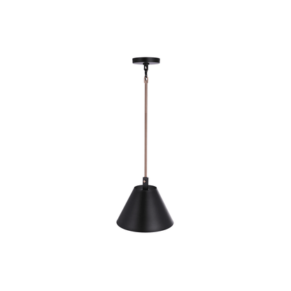 Blake 1 Light Pendant in Flat Black/Satin Brass - Orvon Lighting