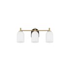 Council 3 Light 20.5 inch Flat Black/Satin Brass Vanity Light Wall Light - Orvon Lighting