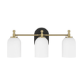 Council 3 Light 20.5 inch Flat Black/Satin Brass Vanity Light Wall Light - Orvon Lighting