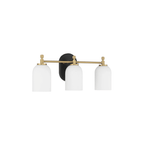 Council 3 Light 20.5 inch Flat Black/Satin Brass Vanity Light Wall Light - Orvon Lighting