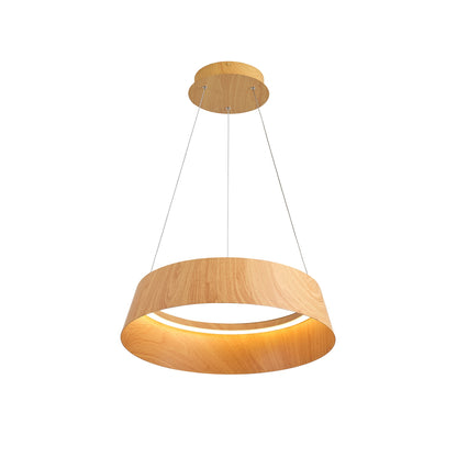 Buenos Aires LED Pendant Ceiling Light