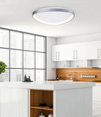 Florida LED Flush Mount Ceiling Light - Orvon Lighting