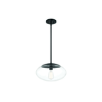 Gaze 1 Light 14 inch Flat Black Pendant Ceiling Light in Clear Glass - Orvon Lighting