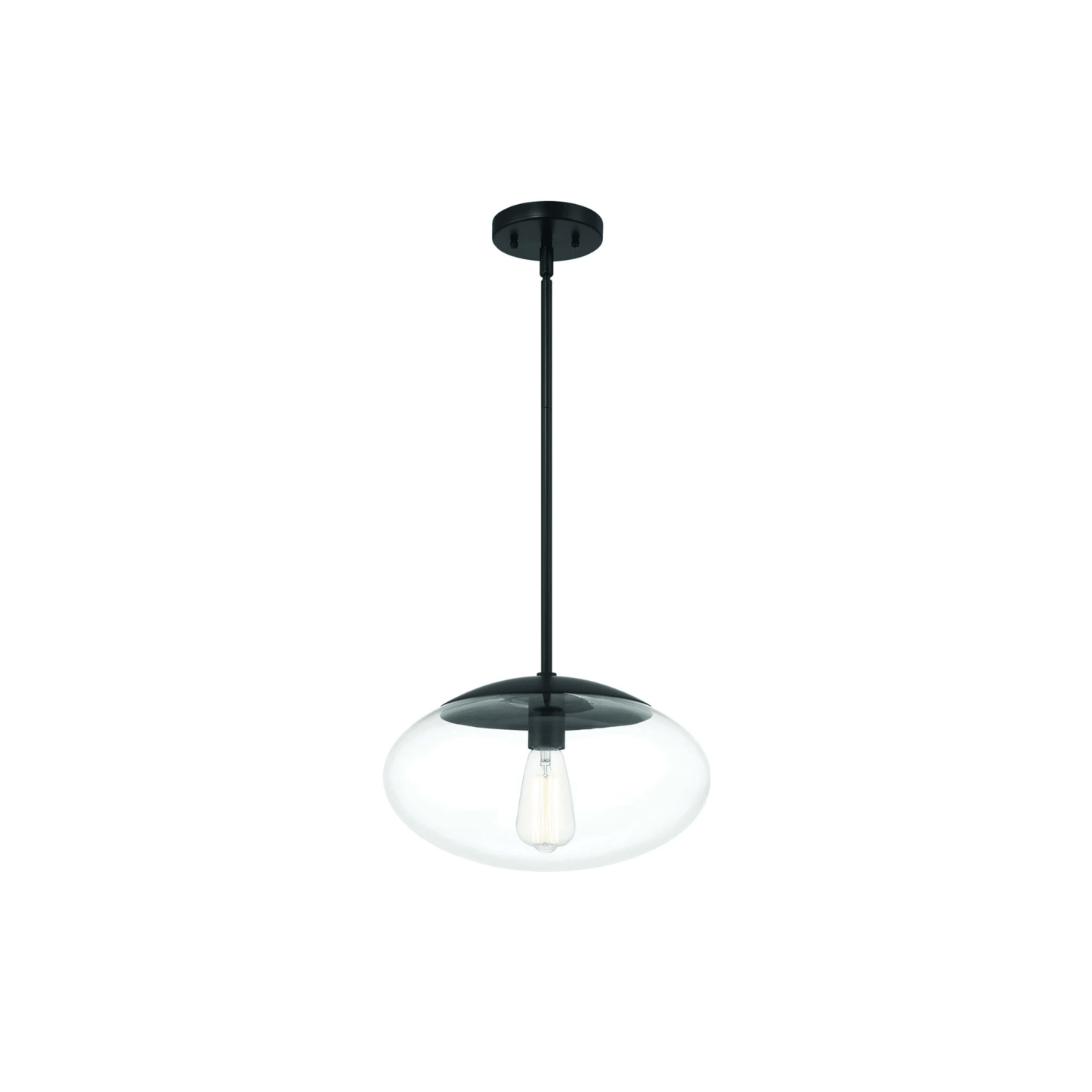 Gaze 1 Light 14 inch Flat Black Pendant Ceiling Light in Clear Glass - Orvon Lighting