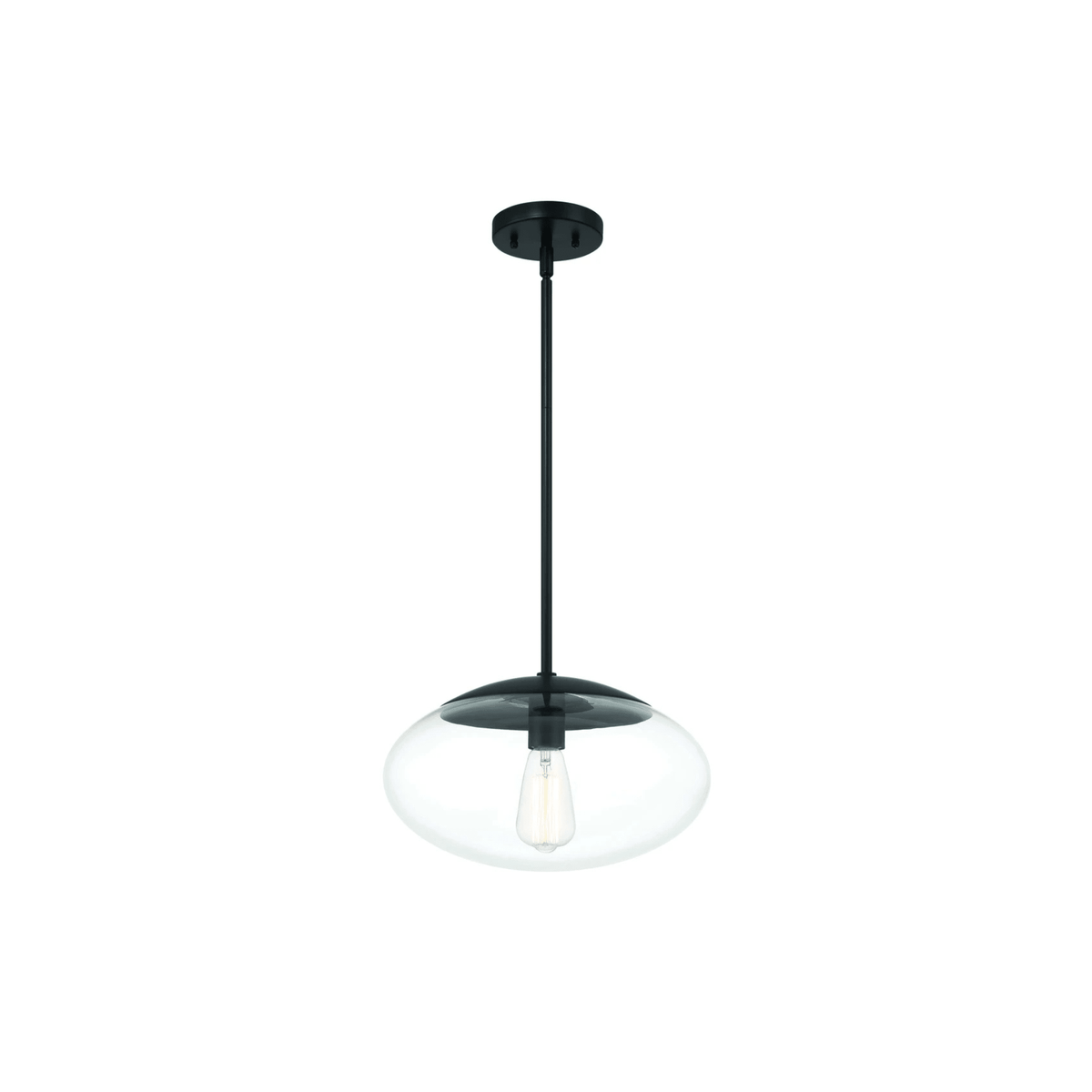 Gaze 1 Light 14 inch Flat Black Pendant Ceiling Light in Clear Glass - Orvon Lighting