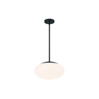 Gaze 1 Light 14 inch Flat Black Pendant Ceiling Light in Clear Glass - Orvon Lighting