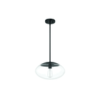 Gaze 1 Light 14 inch Flat Black Pendant Ceiling Light in Clear Glass - Orvon Lighting