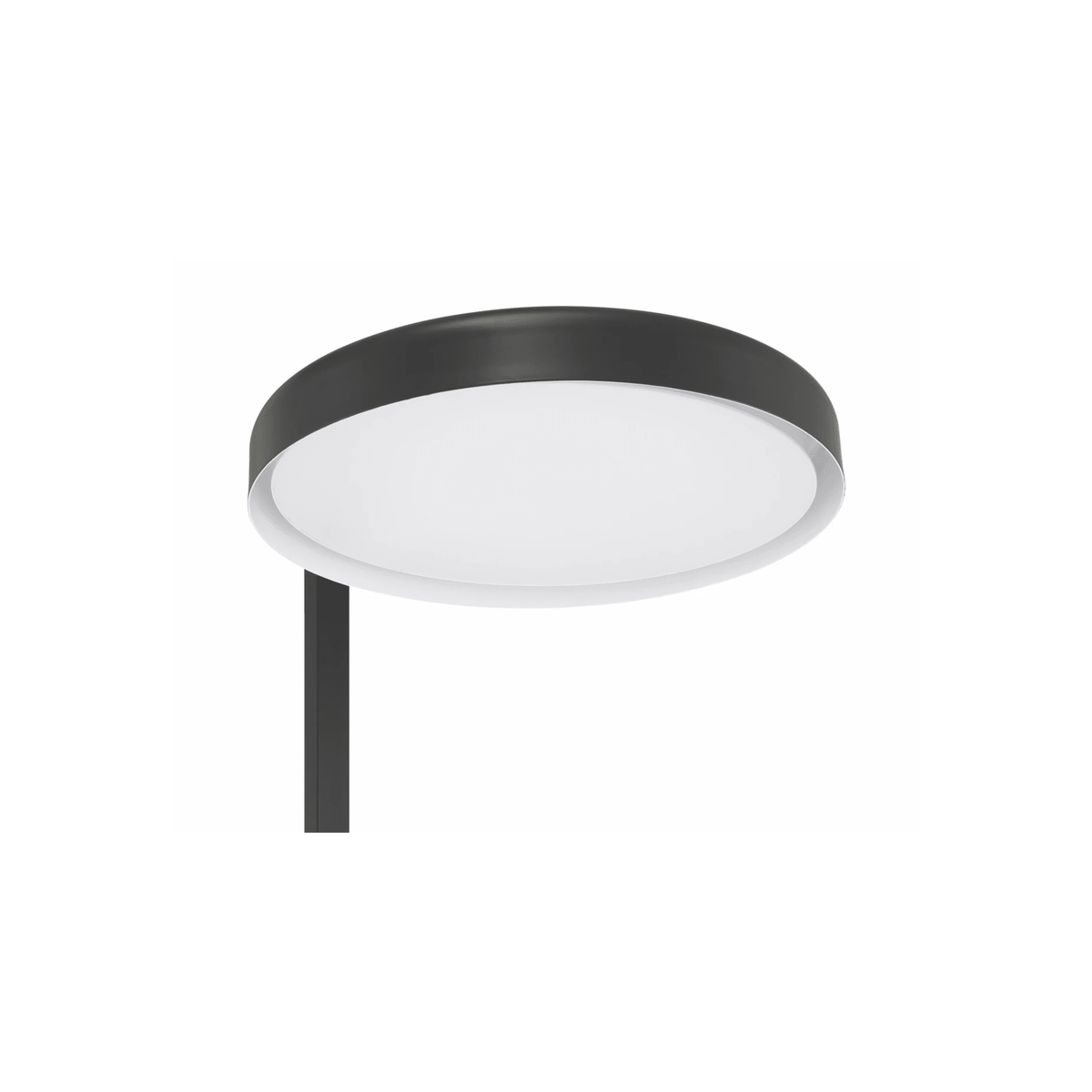 Keeva 57.05 inch 28 watt Flat Black Floor Lamp Portable Light - Orvon Lighting