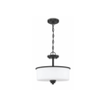 Neighborhood Bolden 2 Light 13 inch Flat Black Convertible Semi Flush Ceiling Light - Orvon Lighting