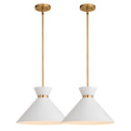 Racine 15 - in 1 Light Pendant Matte Black,White and Natural Brass - Orvon Lighting