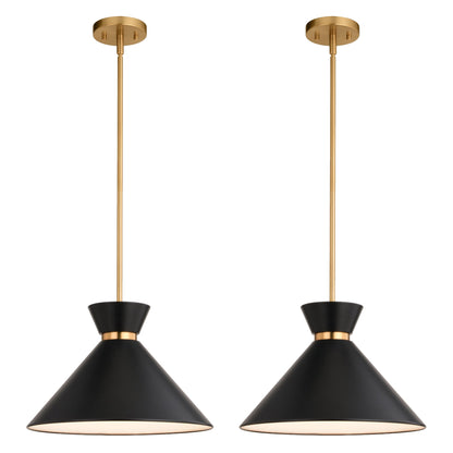 Racine 15 - in 1 Light Pendant Matte Black,White and Natural Brass - Orvon Lighting