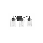 Shayna 3 Light 22 inch Vanity Light Wall Light 56103 - FB - Orvon Lighting