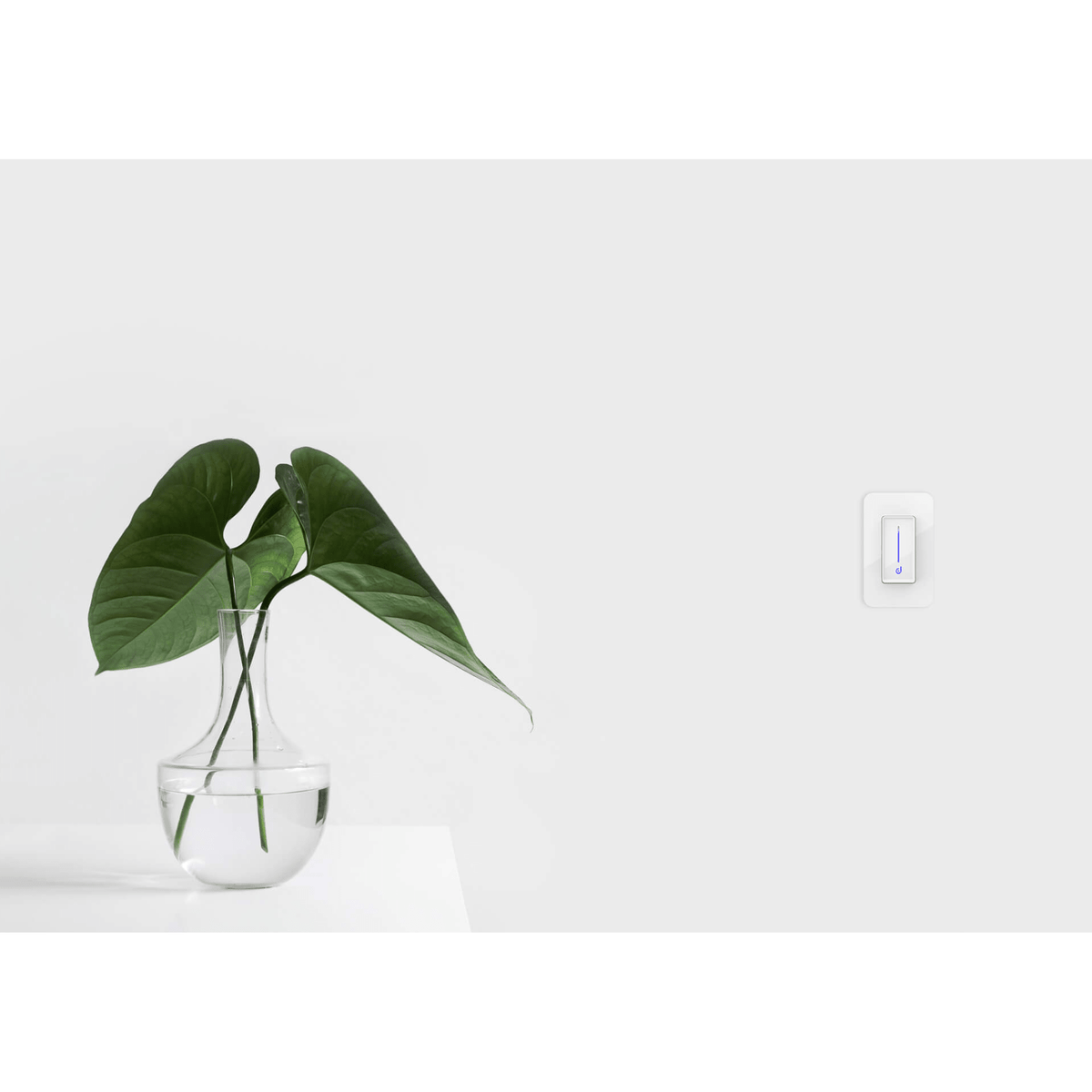 Smart Dimmer Switch - Orvon Lighting