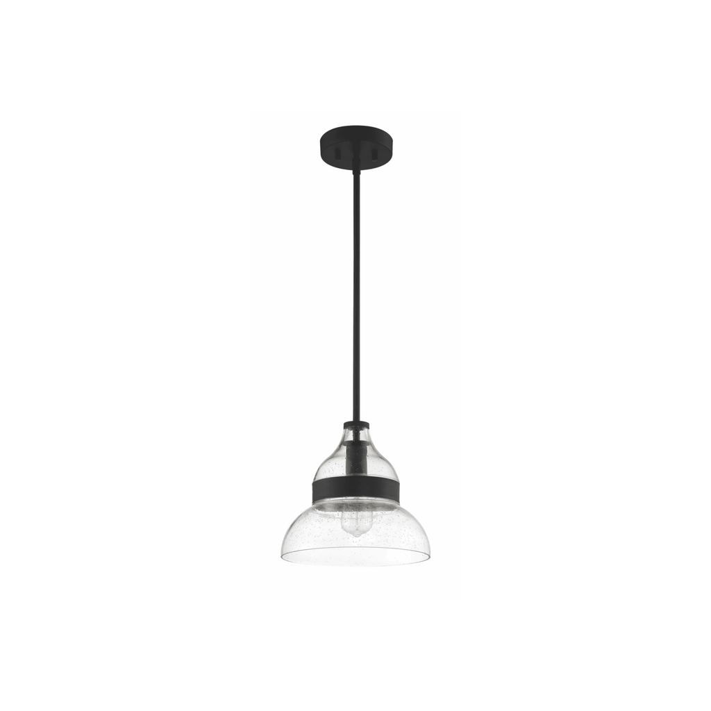 Smyth 1 Light 10.5 inch Mini Pendant Ceiling Light P960FB1 - Orvon Lighting