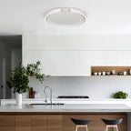 Tokio LED Flush Mount Ceiling Light - Orvon Lighting