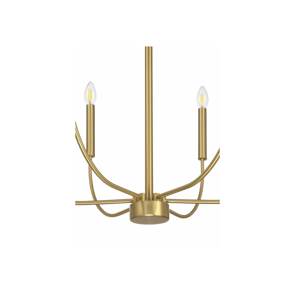 Traci 6 Light Chandelier Ceiling Light - Orvon Lighting